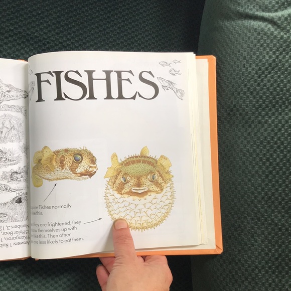 The Usborne Complete Book of Nature - Picture 12 of 15